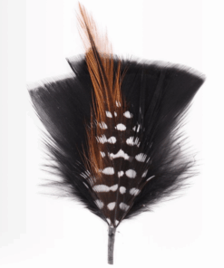 Hat Feather one L